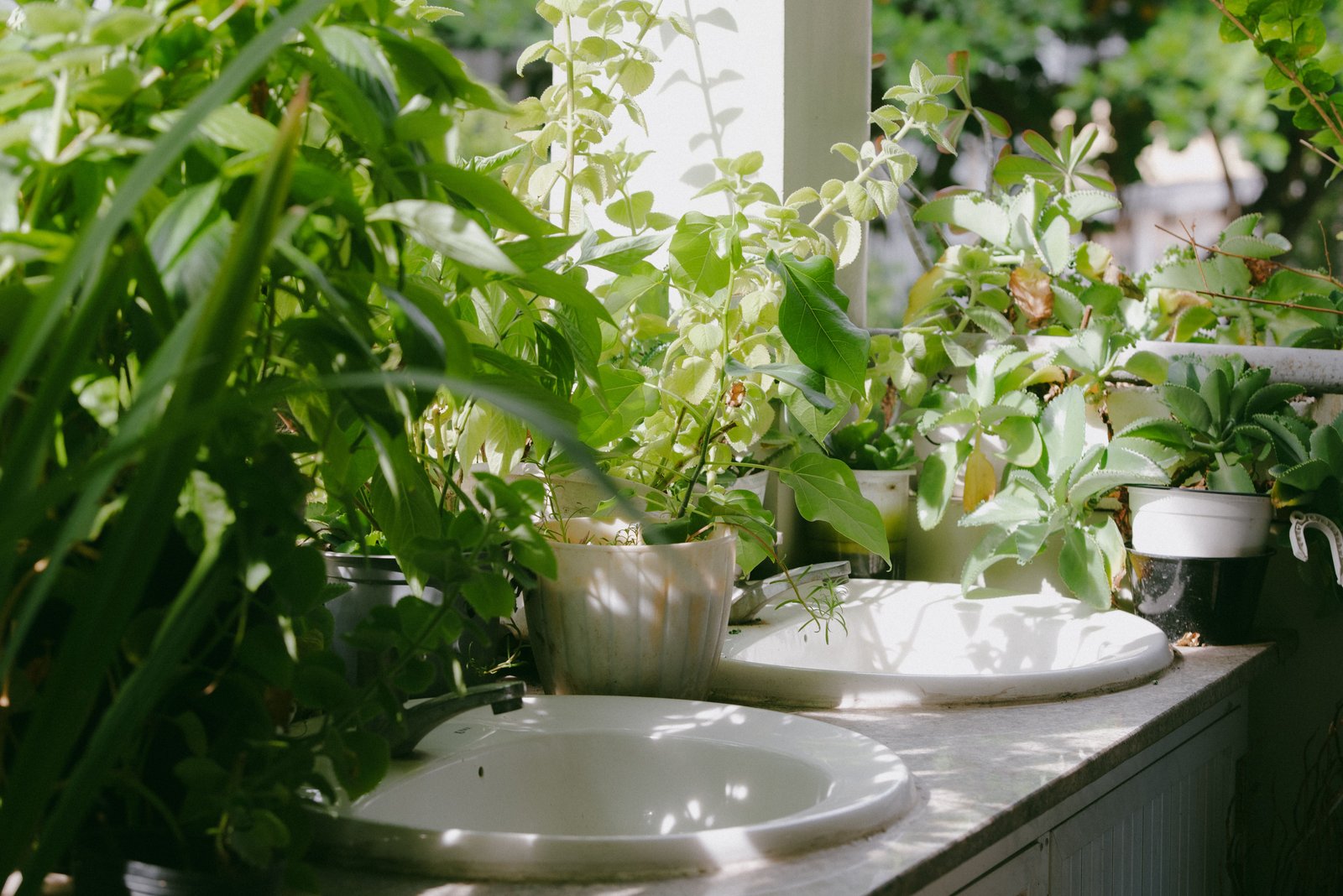 10 Best Outdoor Planters for Home & Garden in India (2026 Guide) modern home garden with white frp planters, lush green plants, stylish balcony, premium landscaping, realistic photography, daylight, ultra hd.