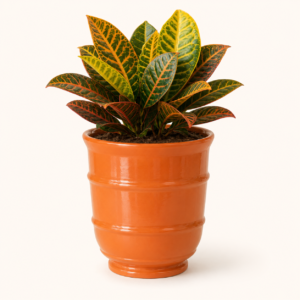 amber ringed frp planter 2