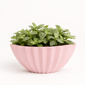 blush pleat bowl frp planter 2