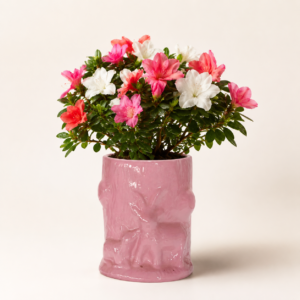 blush rock sculpted planter 4