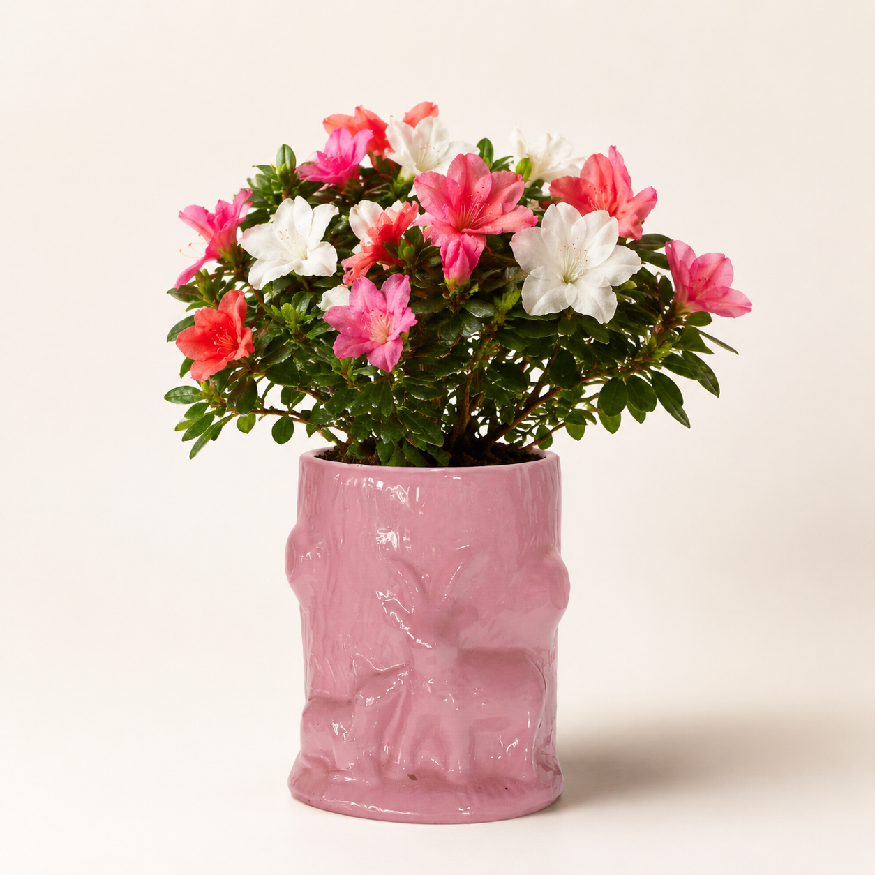blush rock sculpted planter 4 blush rock sculpted planter 4