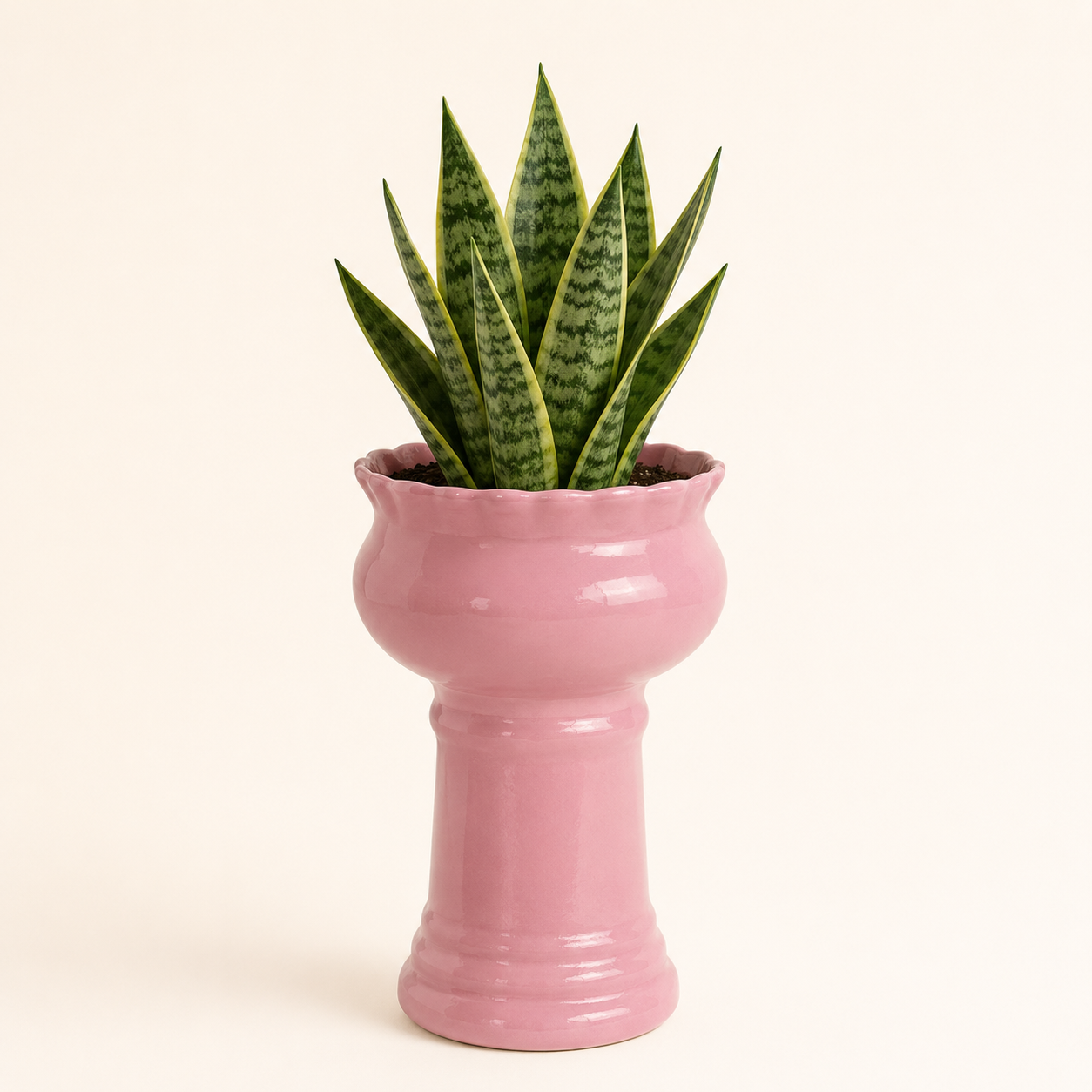 blush royale pedestal frp planter 2 blush royale pedestal frp planter 2