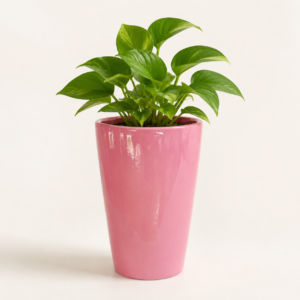 blush taper frp planter 3