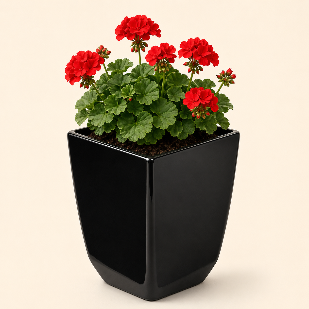 charcol marbel squre planter 2 charcol marbel squre planter 2