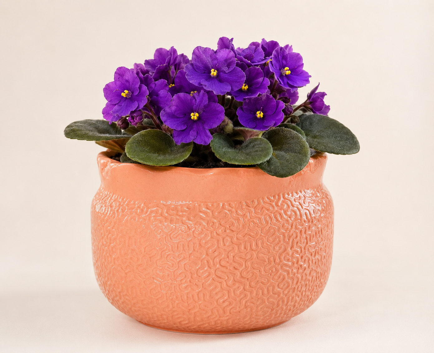 coral maze textured planter 3 coral maze textured planter 3