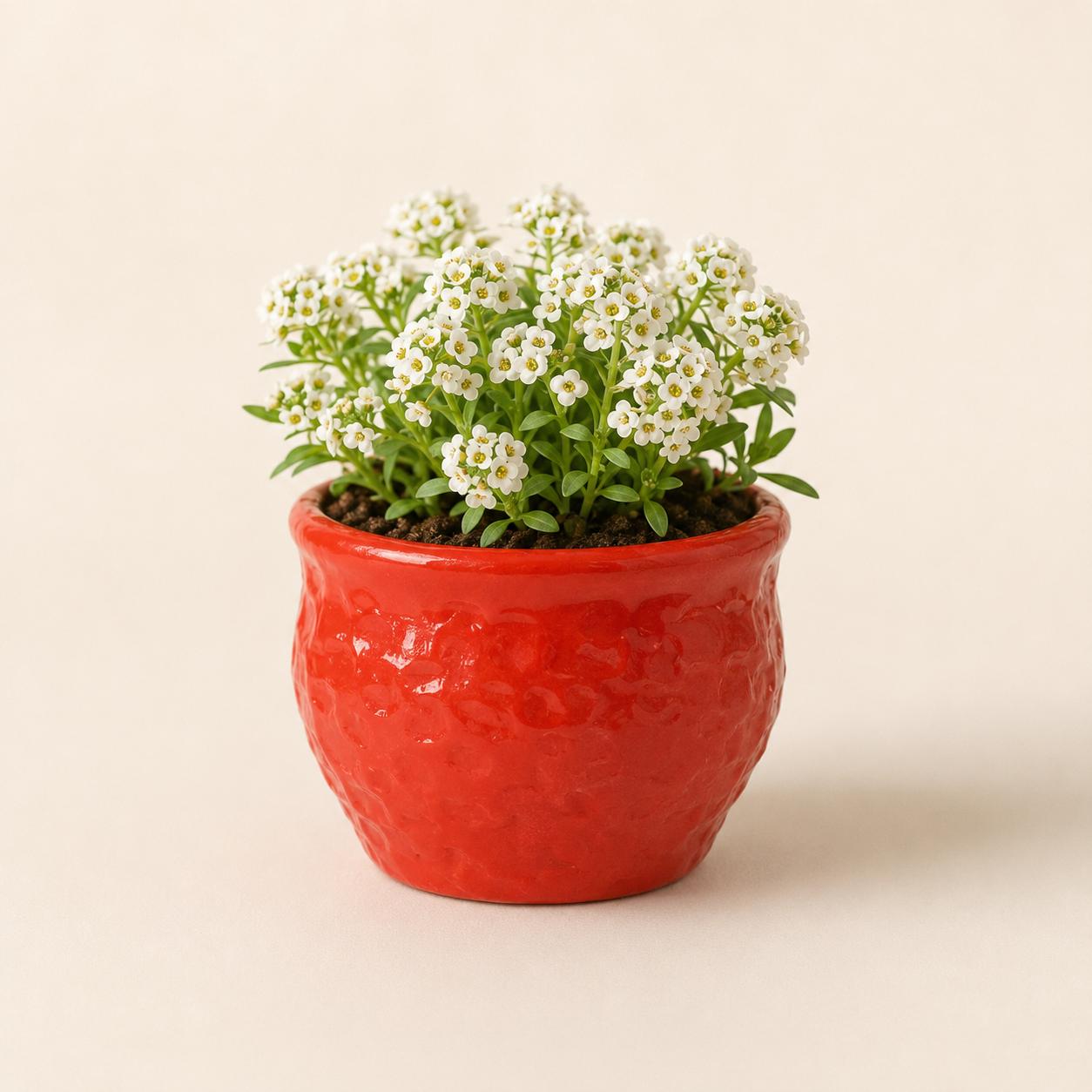 crimson bloom planter 2 crimson bloom planter 2