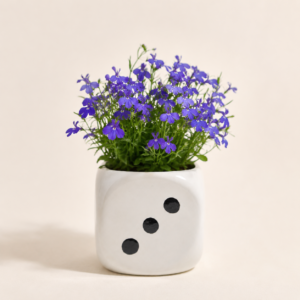 dice cube planter 2
