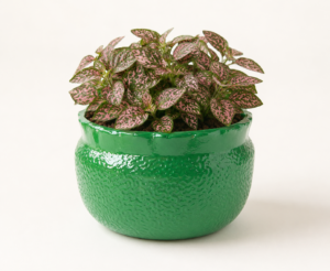 emerald grain textured frp planter 2