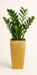 golden edge tapered frp planter 2