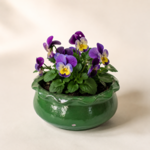 green wave planter 2