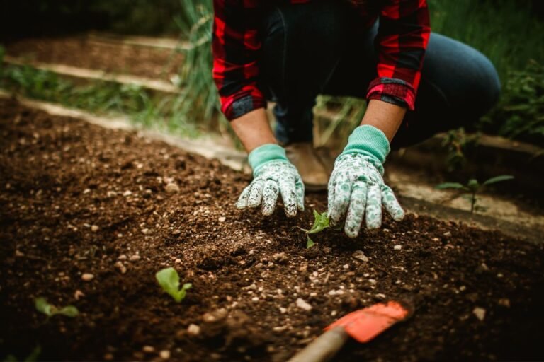 How to Choose the Right Soil for Healthy Plants how to choose the right soil for healthy plants