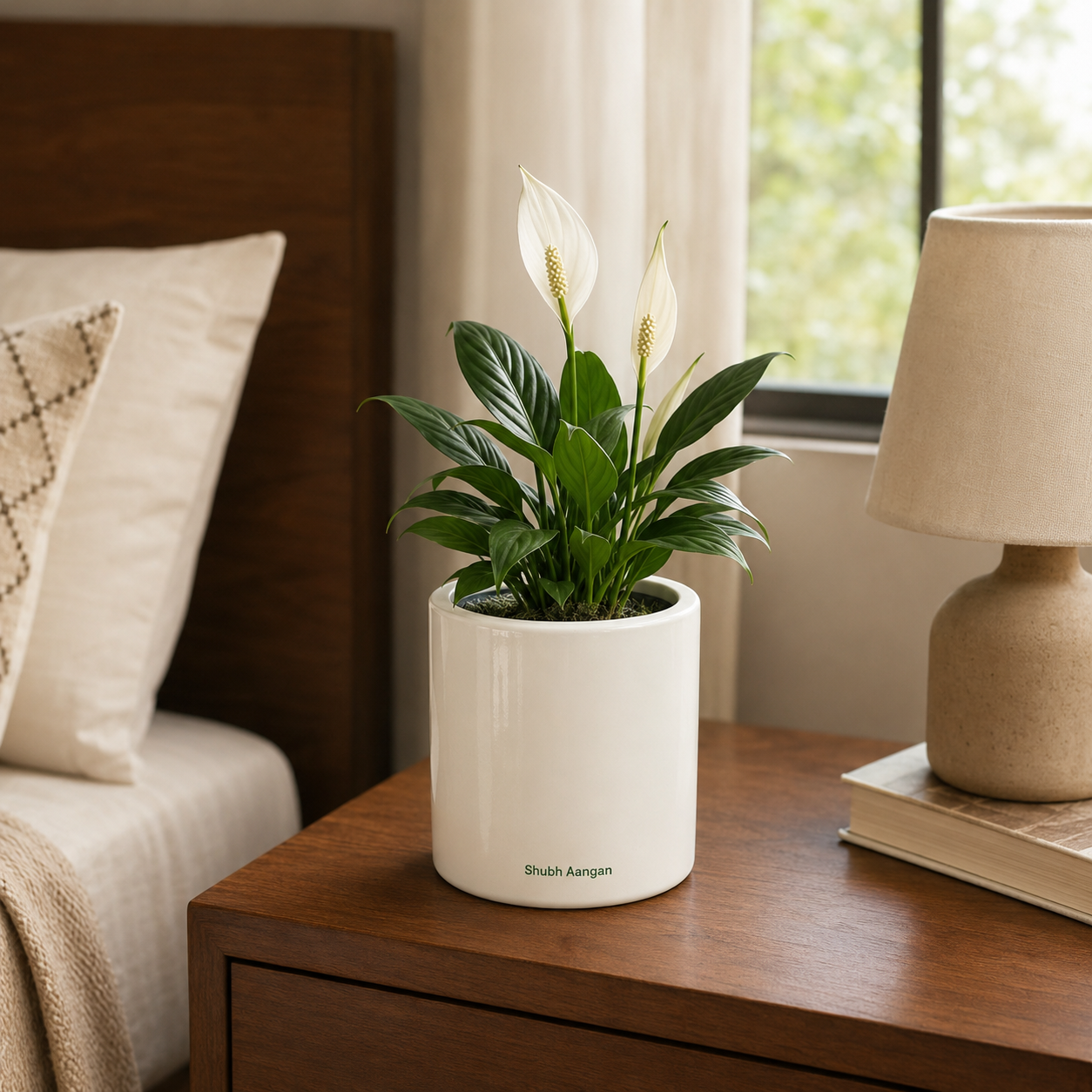 Ivory Cylinder FRP Planter 3