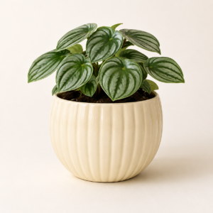 ivory fluted bowl planter 2