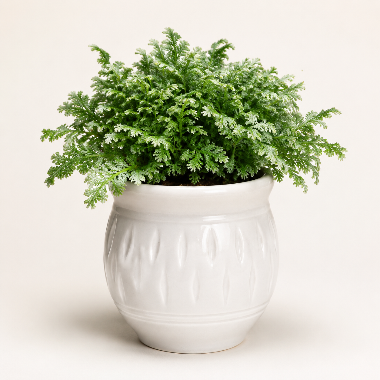 ivory leaf embossed mini planter 4 ivory leaf embossed mini planter 4