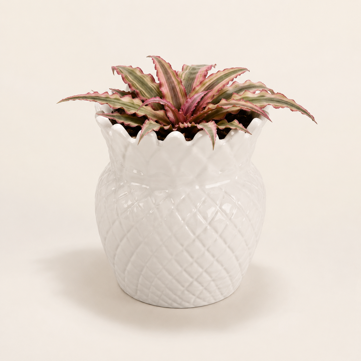 ivory pineapple crown planter ivory pineapple crown planter