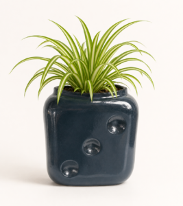 midnight bubble frp planter 2