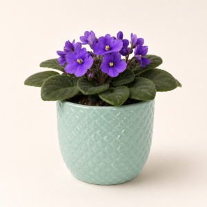 mint scale textured planter 2