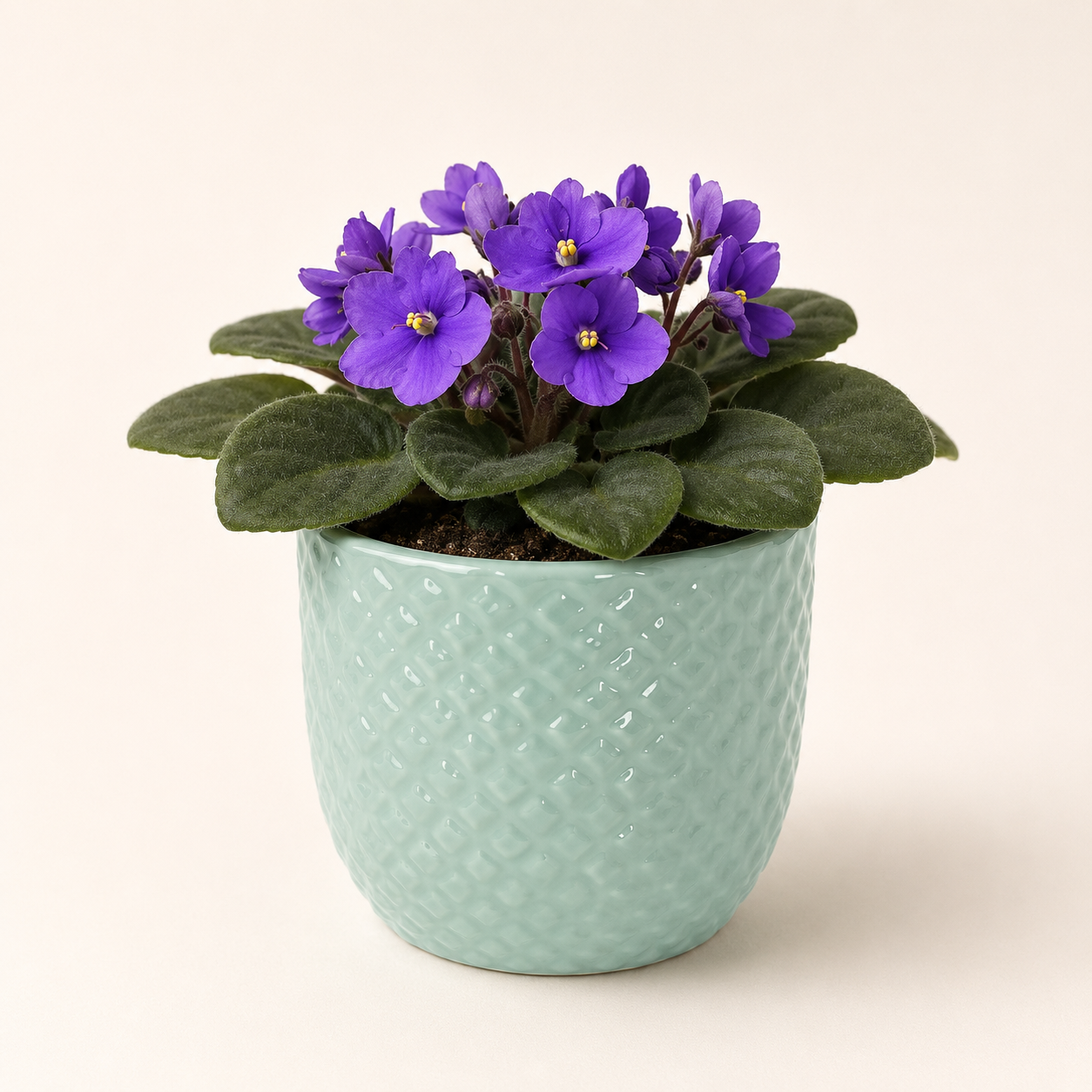 mint scale textured planter 2 mint scale textured planter 2