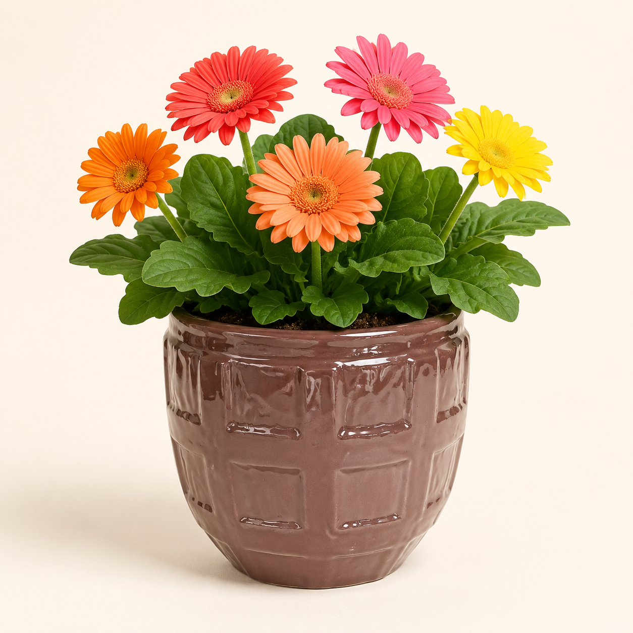 mocha grid barrel planter 2 mocha grid barrel planter 2
