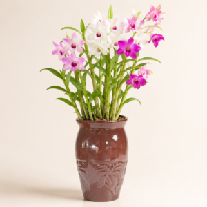 mocha palm relief vase planter 2