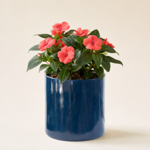 ocean drum planter 4