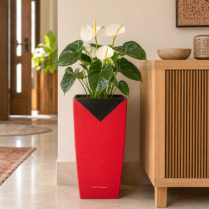 red and black edge tapered planter 4