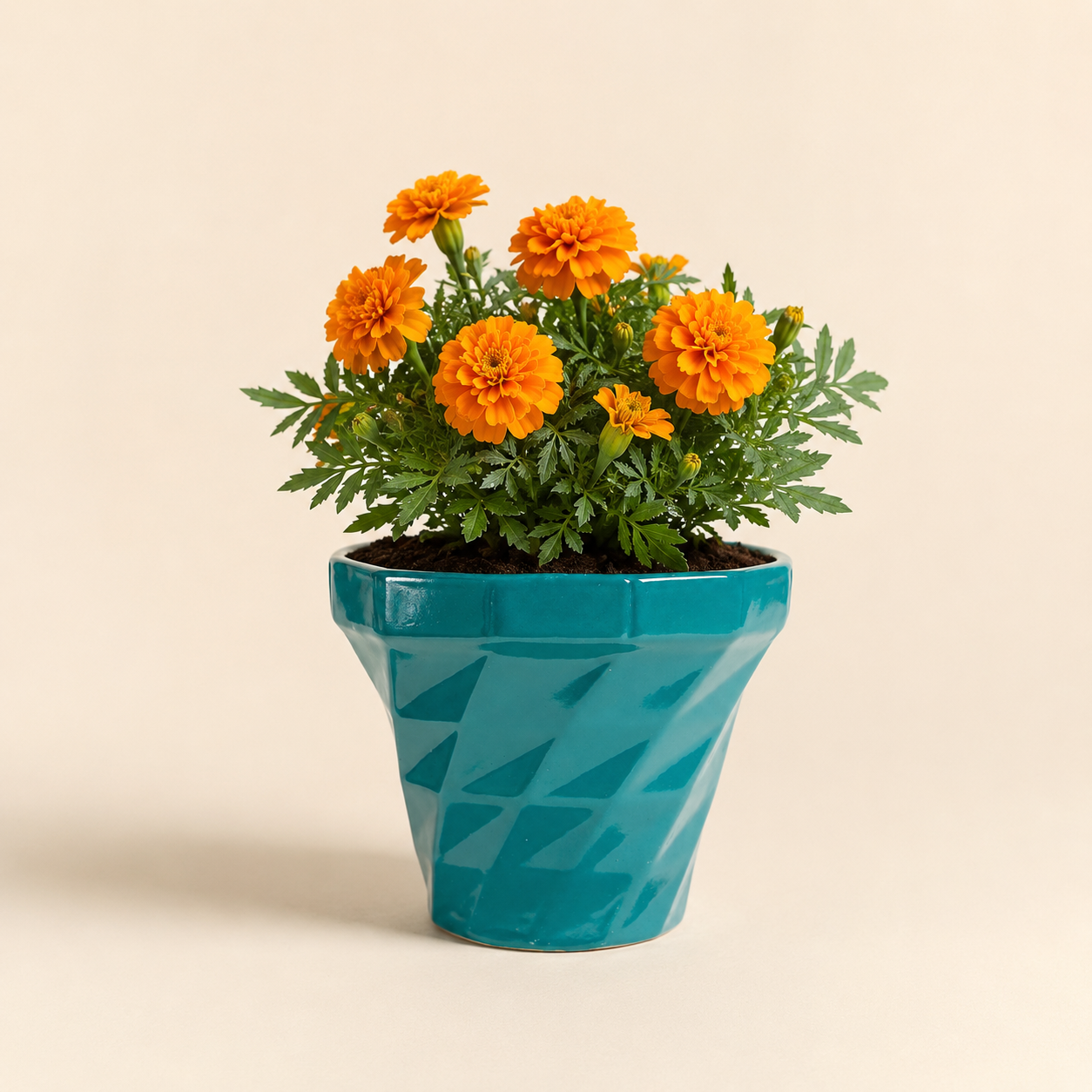 teal diamond planter 3 teal diamond planter 3