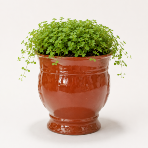 terracotta pedestal curve planter 2