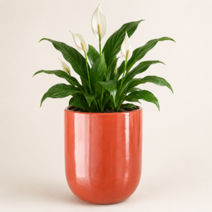 terracotta glaze round planter 2