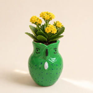wise owl planter 2
