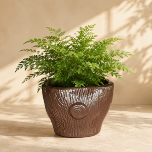 walnut spiral textured frp planter tree