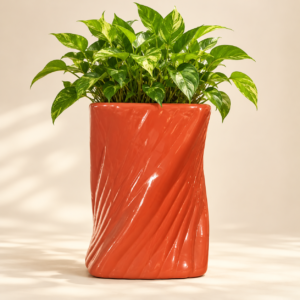 Home coral spiral column planter 02 with plant