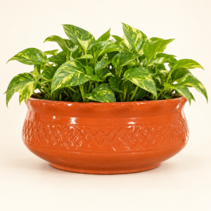 Home terracotta lattice bowl planter 02 with plant