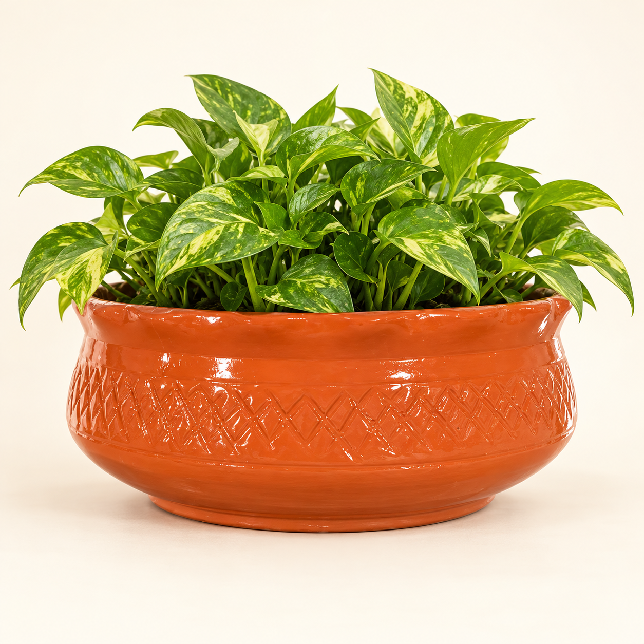 terracotta lattice bowl planter 02 with plant terracotta lattice bowl planter 02 with plant